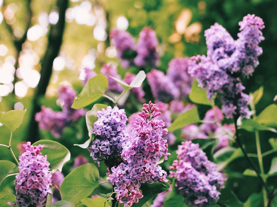 乐鱼-今年财运翻身！这3个生肖苦尽甘来，赚钱比以前轻松多了！